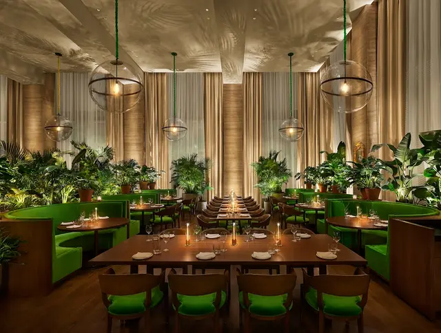 Tampa Bay — Lux Palate